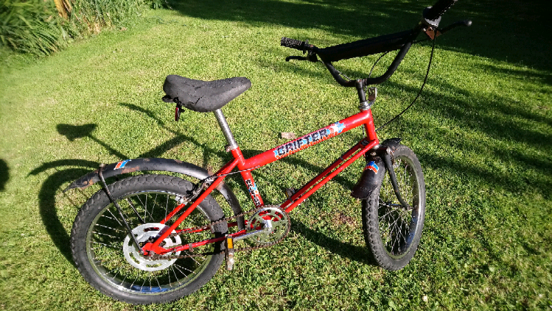 raleigh grifter weight